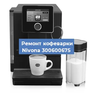 Ремонт капучинатора на кофемашине Nivona 300600675 в Красноярске